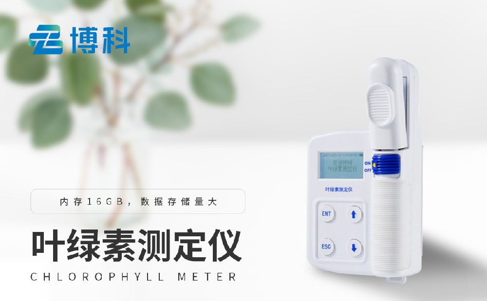 葉綠素測定儀 葉綠素測定儀