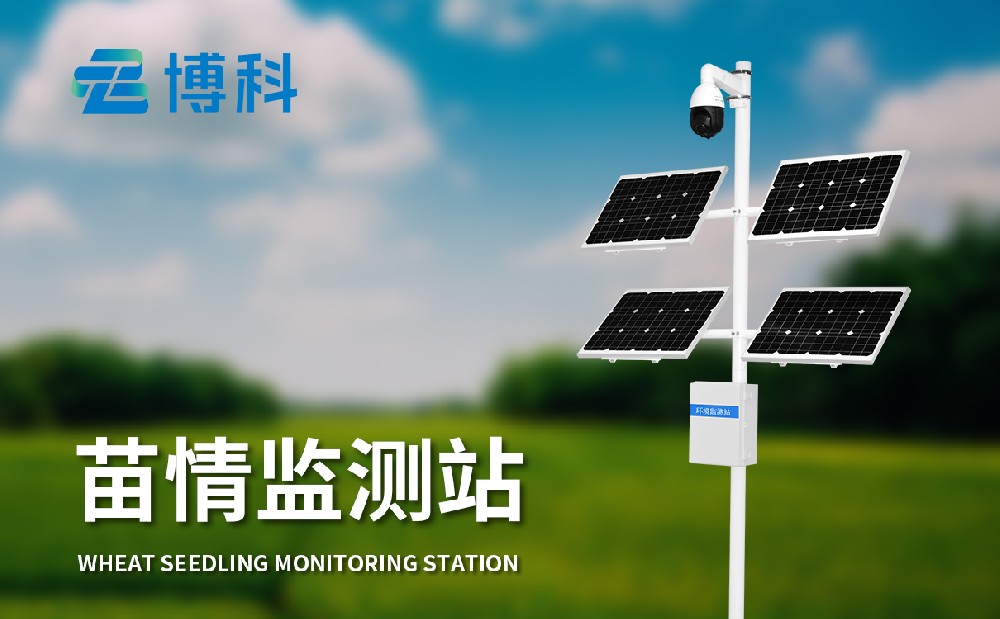 水稻苗情監(jiān)測(cè)站 水稻苗情監(jiān)測(cè)站