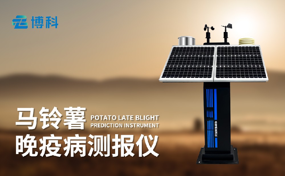 馬鈴薯晚疫病監(jiān)測(cè)儀 馬鈴薯晚疫病監(jiān)測(cè)儀
