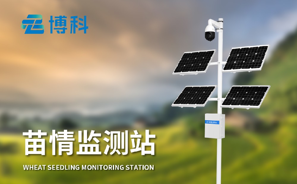 苗情監(jiān)測設備