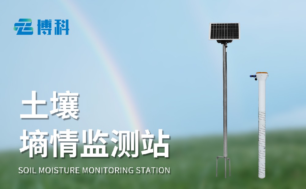 管式土壤墑情監(jiān)測系統(tǒng)廠家