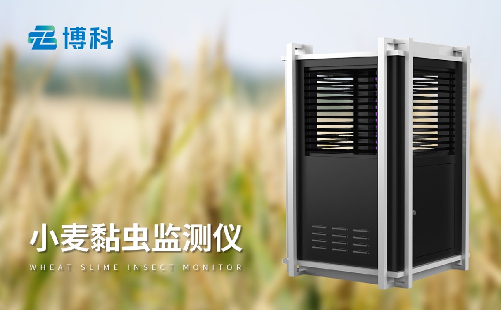 小麥黏蟲監(jiān)測(cè)儀